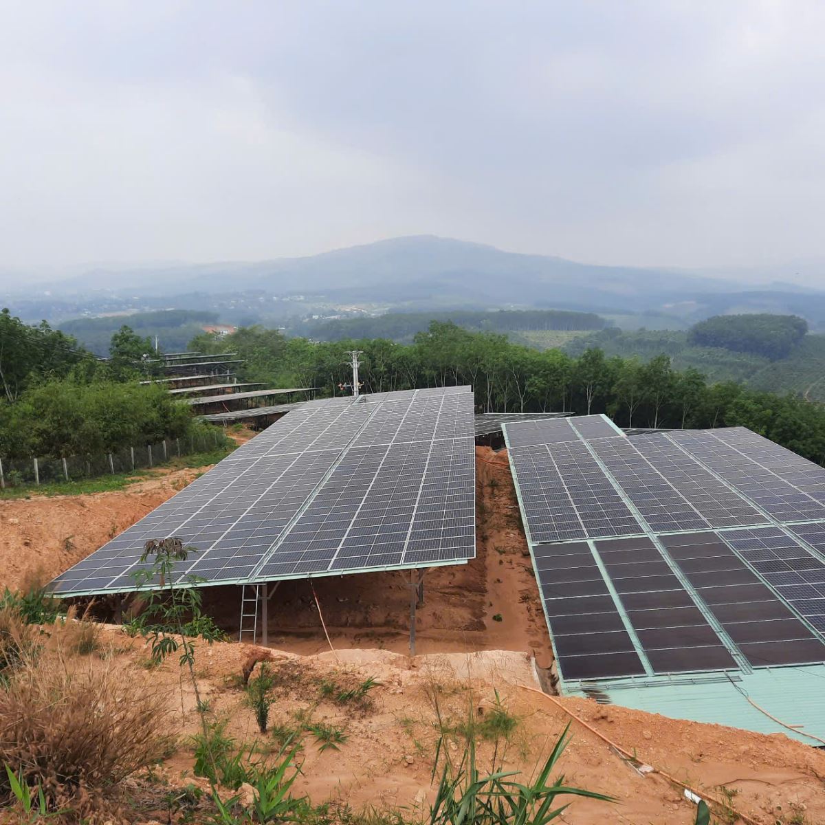 Nghị định 58/2025/NĐ-CP: Phát triển điện năng lượng tái tạo, điện năng lượng mới